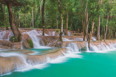 Wonder tad sae waterfalls at luang prabang, laos. waterfall in rain forest.