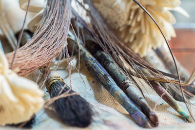 Close-up of paintbrushes