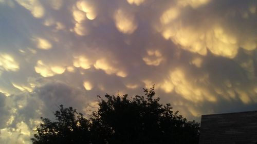 Low angle view of silhouette trees against sky