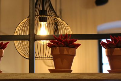 Close-up of illuminated flower vase on table at home