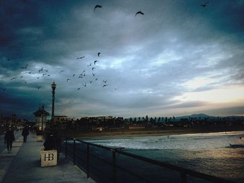 Bird flying against cloudy sky