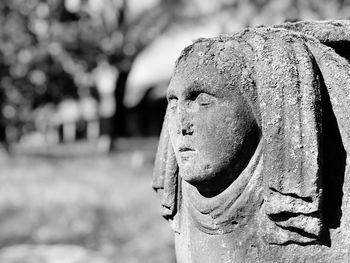 Close-up of statue