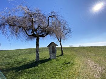 Bare tree on field against sky