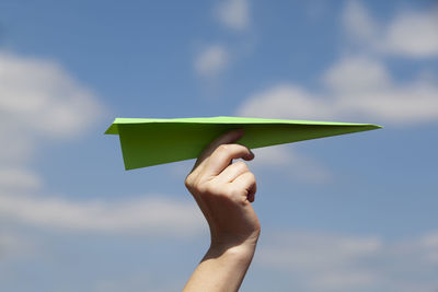 Person holding leaf against sky