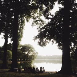 Scenic view of lake with trees in background