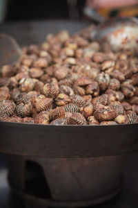 Cooked blood cockles on the plate, close-up.