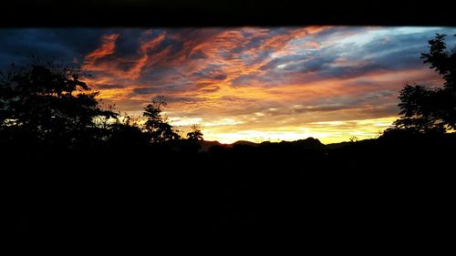 Silhouette of trees at sunset