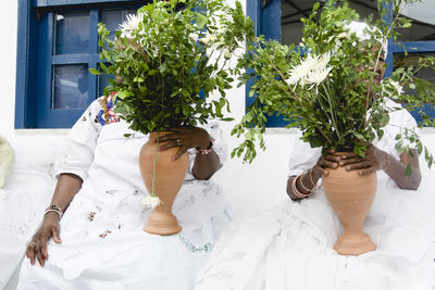 People relaxing on potted plant