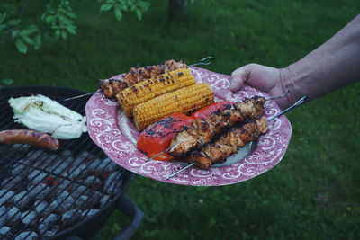 Cropped image of hand holding grilled food in plate by barbecue in back yard