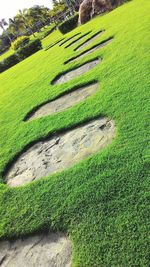 High angle view of grassy field