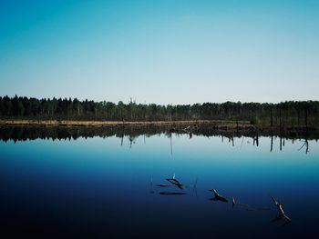 Scenic view of lake against clear blue sky