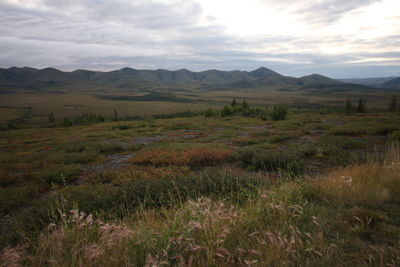 Scenic view of landscape and mountains against sky