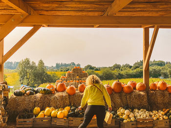 Rear view of woman standing by pumpkins in farm against sky