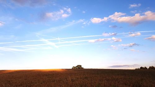 Scenic view of agricultural field against sky