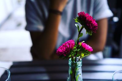 Close-up of purple flowering plant in vase