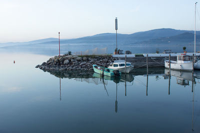 Sailboats in marina