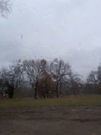 Bare trees on landscape against sky