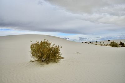 Scenic view of desert against sky