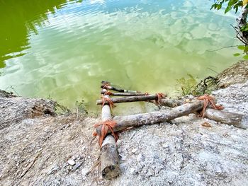 High angle view of wooden post in lake