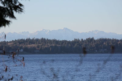 Scenic view of lake against clear sky