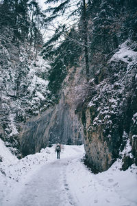 Rear view of people walking on snow covered mountain