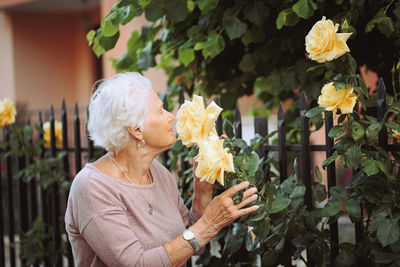Elderly woman admiring beautiful bushes with yellow roses