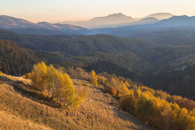 Autumn countryside landscape in transylvania, romania, at the foot of the carpathian mountains