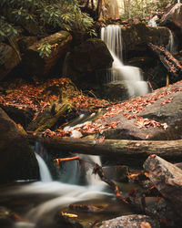 Scenic view of waterfall in forest