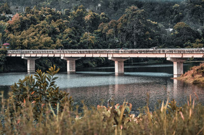 View of bridge over river against trees