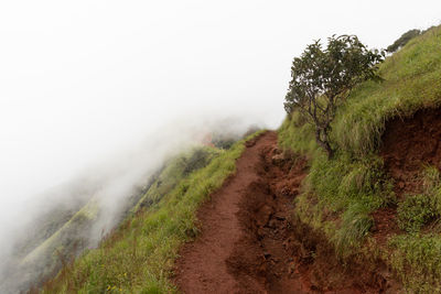 Mountain hiking trails with green grass and thick clouds