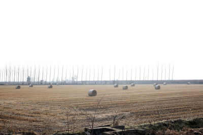 Hay bales on field against clear sky