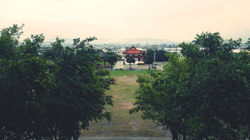 Trees and plants by building against sky