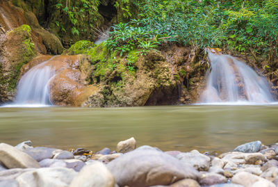 Scenic view of waterfall in forest