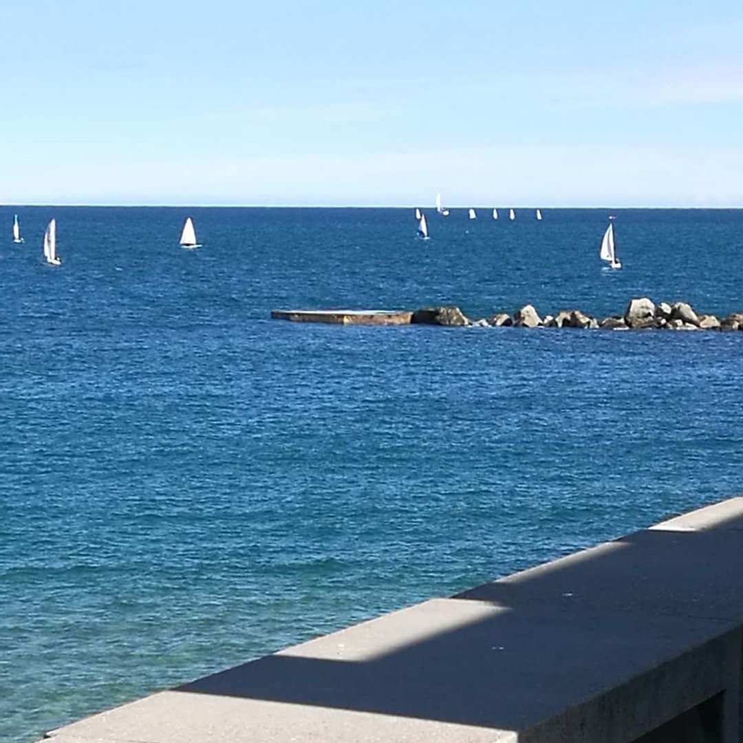 sea, water, horizon over water, nature, day, beauty in nature, scenics, outdoors, blue, no people, sky, sunlight, tranquility, nautical vessel, animals in the wild, animal themes, bird