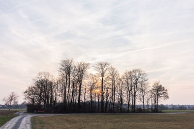 Bare trees on landscape against sky