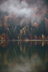 Scenic view of lake in forest against sky