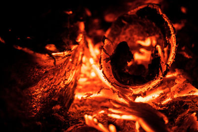 Close-up of fire at night