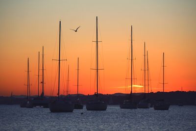 Sailboats in sea against clear sky during sunset