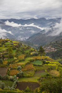 Agricultural terraces above tarma, junin, peru, south america