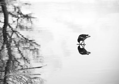 Man in lake against sky