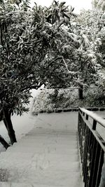 Snow covered footbridge