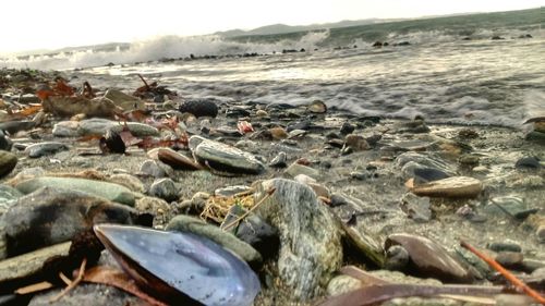 Panoramic view of beach against sky