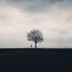 Trees on field against cloudy sky