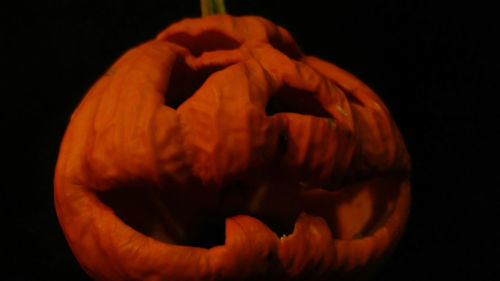 Close-up of pumpkin against black background