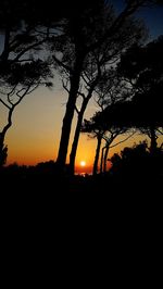 Silhouette trees against sky during sunset