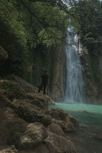 Scenic view of waterfall in forest