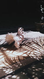 Close-up of ice cream on table
