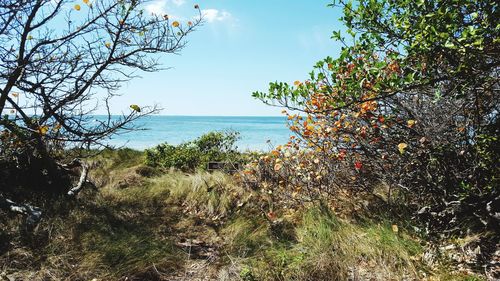 Scenic view of sea against sky