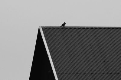 Low angle view of bird perching on roof against clear sky