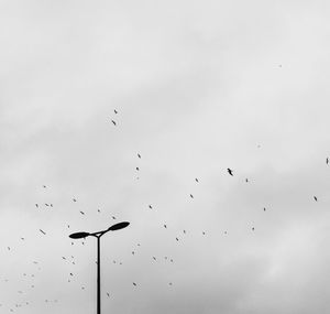 Low angle view of silhouette birds flying against sky